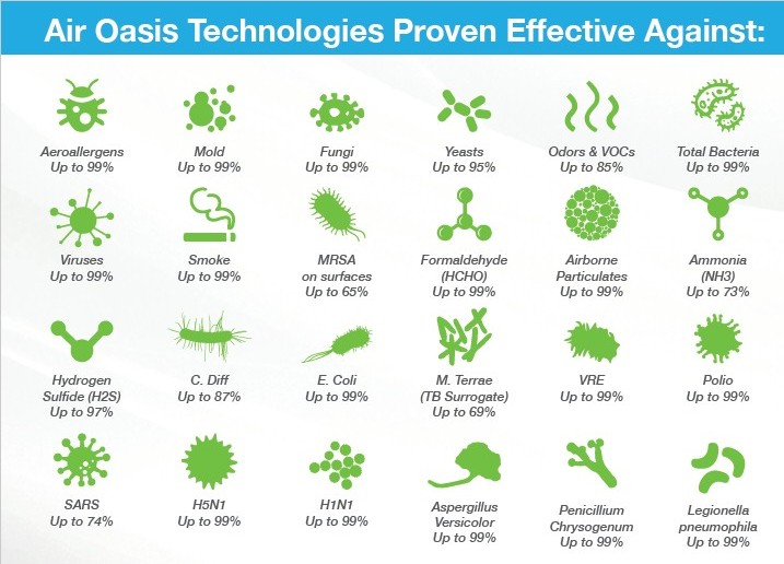 How Kennel Cough Is Spread at Liliana Bourbeau blog